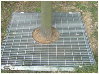 树池沟盖板 树池沟盖板